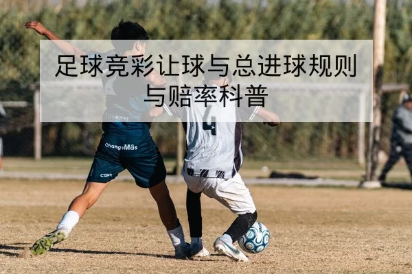 足彩让球盘口波动与规则科普解读